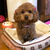 Profile picture small