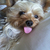 Profile picture small