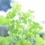 Profile picture small