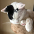 Profile picture small