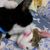 Profile picture small