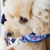 Profile picture small