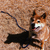 Profile picture small