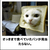 Profile picture small