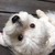 Profile picture small