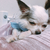 Profile picture small