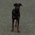 Profile picture small