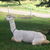 Profile picture small