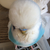 Profile picture small