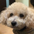 Profile picture small