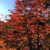 Profile picture small