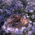 Profile picture small