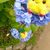 Profile picture small
