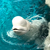 Profile picture small