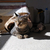 Profile picture small