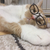 Profile picture small