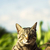 Profile picture small