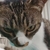 Profile picture small