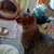 Profile picture small
