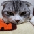 Profile picture small