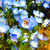 Profile picture small