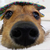 Profile picture small
