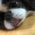 Profile picture small