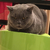 Profile picture small