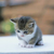 Profile picture small