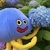 Profile picture small