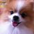 Profile picture small