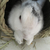 Profile picture small