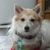 Profile picture small