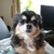 Profile picture small