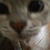 Profile picture small