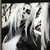 Profile picture small