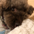 Profile picture small