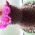 Profile picture small