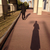 Profile picture small