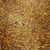 Profile picture small