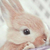 Profile picture small