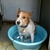 Profile picture small