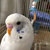 Profile picture small