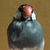Profile picture small