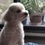Profile picture small