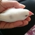 Profile picture small