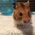 Profile picture small