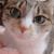 Profile picture small