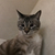 Profile picture small