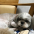 Profile picture small